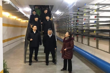 南京市长专研河西新城建设，谷德运维助力“城市客厅”发展